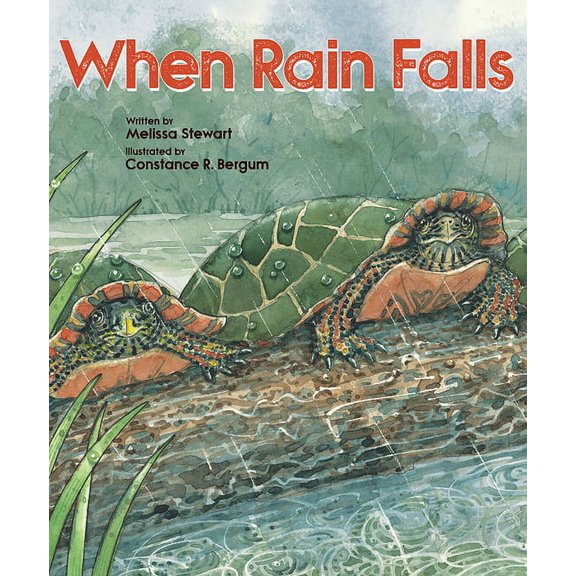 When Rain Falls (Paperback)