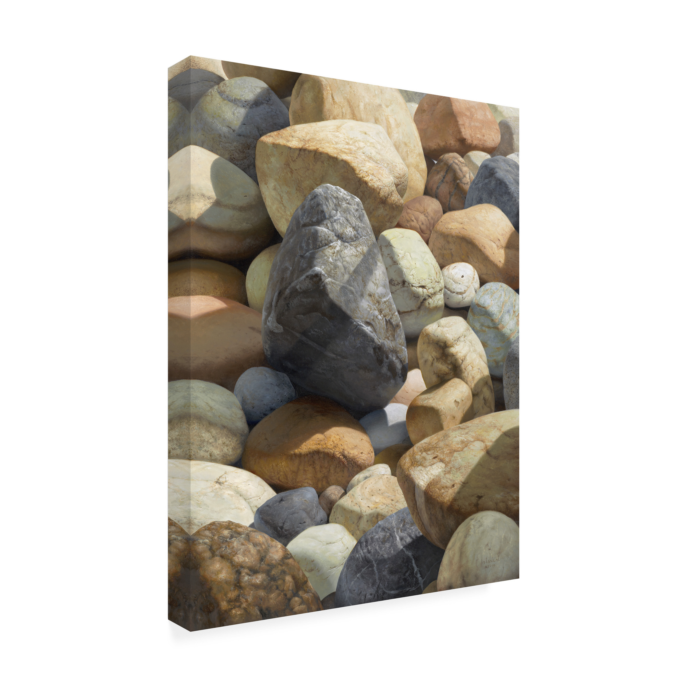 Trademark Fine Art Stephen Stavast 'A Bolder View' 14 x 19 (ALI0740-C1419GG)