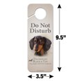 thumbnail image 6 of Black and Tan Dachshund Wiener Dog Breed Plastic Door Knob Hanger Sign, 6 of 7