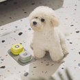 thumbnail image 1 of Talking Pet Starter Set - 3 Piece Set Recordable Buttons for Dogs  Talking Dog Buttons  Teach Your Dog to Talk  Talking Pet  Dog Training Games  Dog Buttons for Communication, 1 of 7