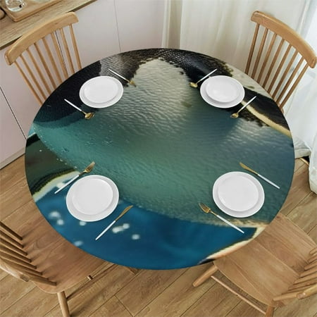 

Patifu Penguin Swimming Underwater Round Table Cover Stain Resistant Washable Indoor Outdoor Tablecloth Kitchen Dining Wedding Parties 100% Polyester Fiber 38-42
