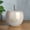 Off-White, variant on Urban Porcelain Apple Figurine with Stem SM Matte Finish White