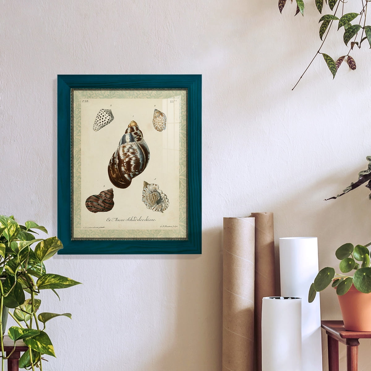Bookplate Shells VII - Framed Print w/glass - Ocean Blue