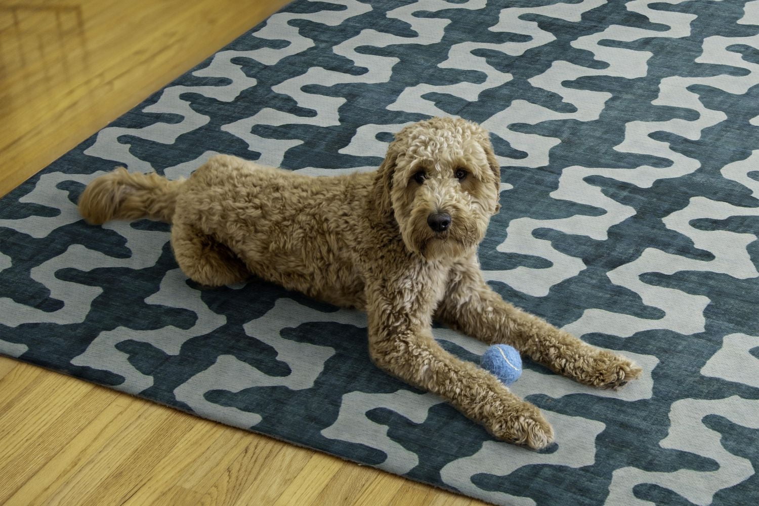 Outdoor Washable Doral Aqua & Green 5' x 7' Area Rug