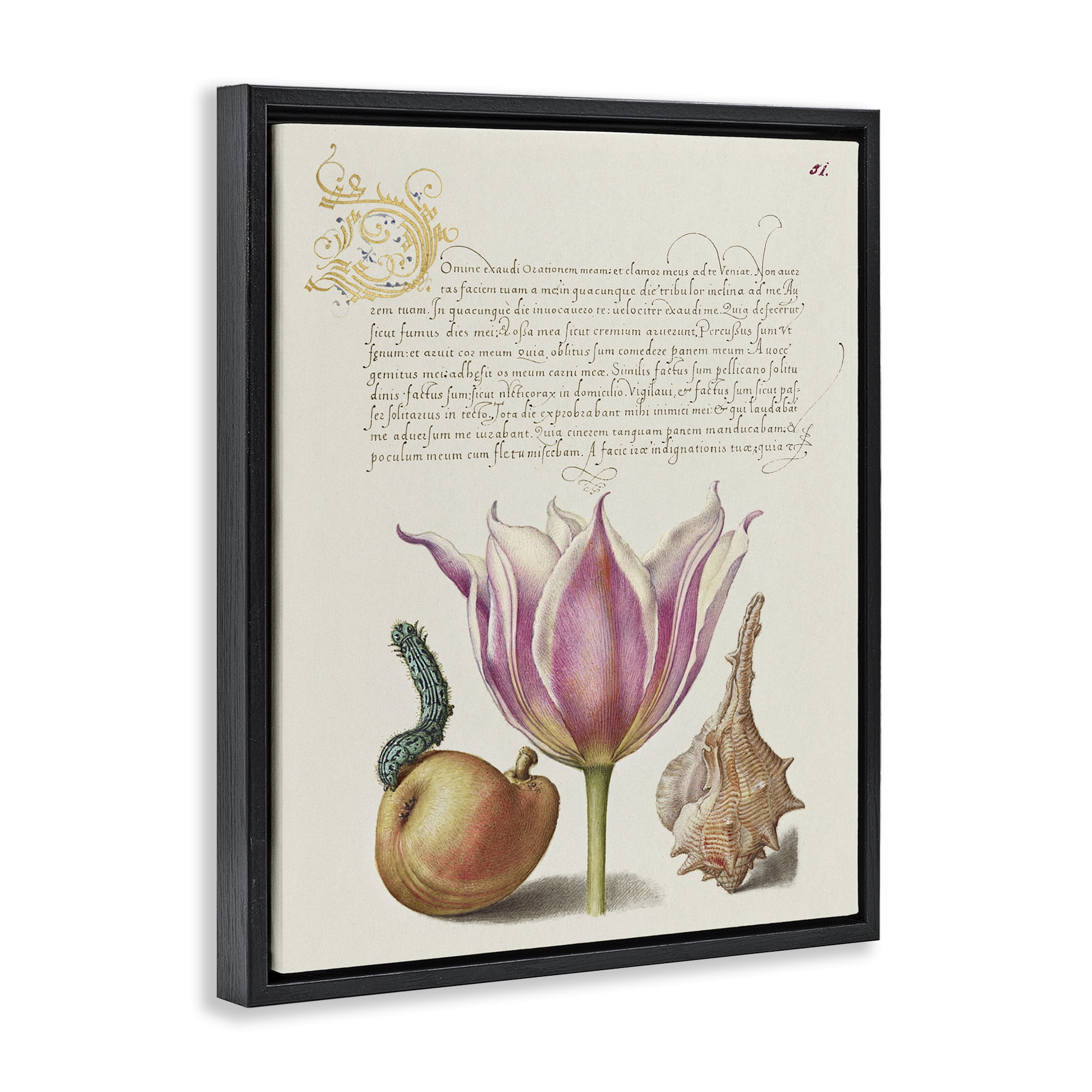 Stupell Industries Flower & Bug Study Page Text & Numbers Painting Black Floater Framed Canvas Art Print Wall Art, 17 x 21
