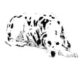 thumbnail image 2 of CafePress - Dalmation Dog -  Round Wood Ornament 4", 2 of 2