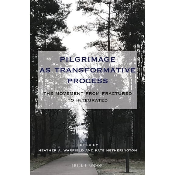 At the Interface / Probing the Boundarie Pilgrimage as Transformative Process: The Movement from Fractured to Integrated, Book 109, (Paperback)