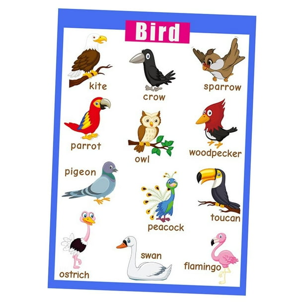Tarjetas De Aprendizaje De Inglés Tarjetas De Palabras Imágenes Tarjetas De Palabras Póster Juguete Educativo Aves BLESIY Cuadro de aprendizaje para niños
