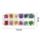 thumbnail image 2 of Flores de uñas secas, pegatina de arte de uñas 3d para toques de accesorios de mezcla de decoración de uñas, flores de hojas estrelladas MFZFUKR CPB-DE-LYY215, 2 of 5