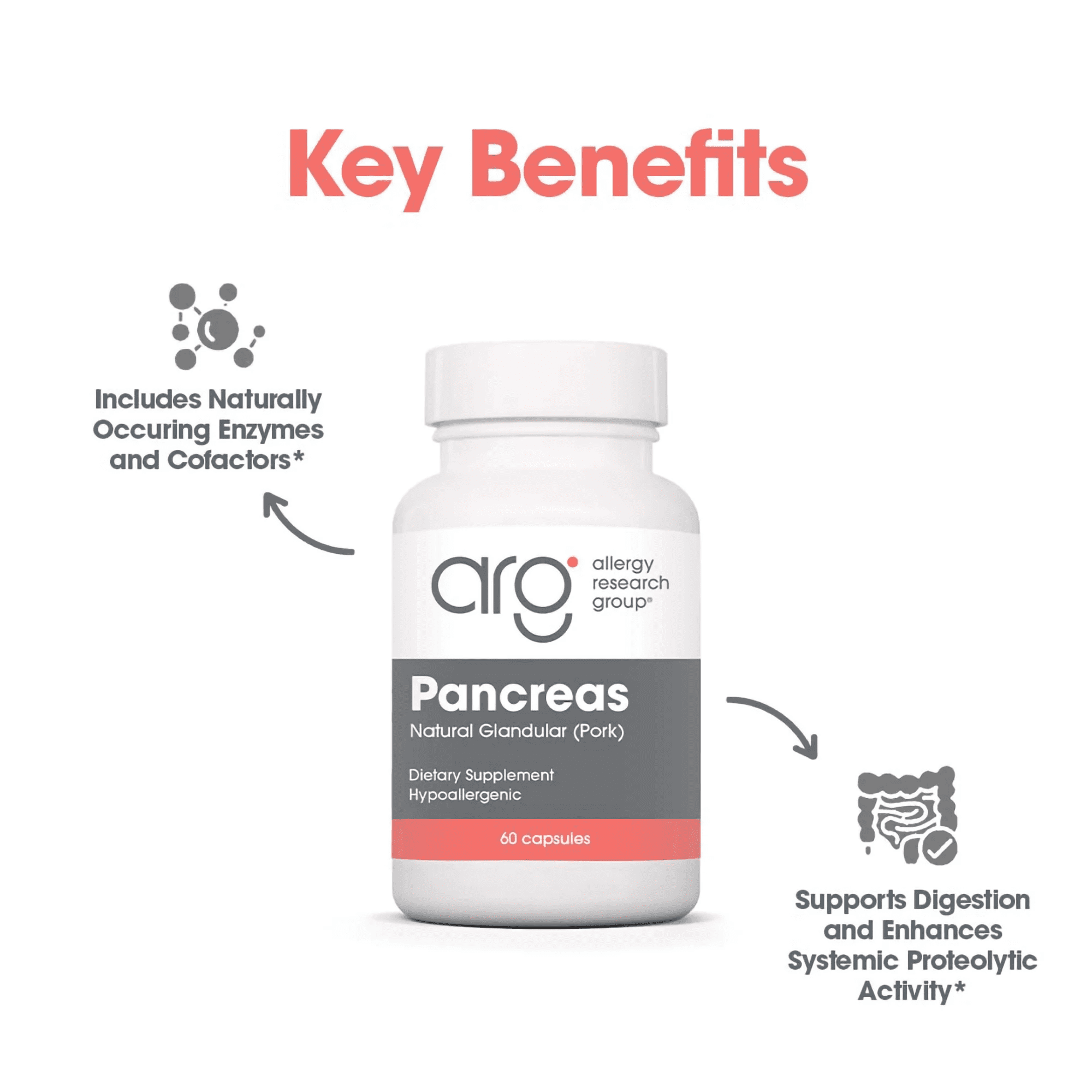 ARG Pancreas Natural Glandular - Supports Healthy Pancreas, Immune & Digestive Activity - 425 mg per Serving - Freeze Dried Tissue from Pork - 60 Servings - 60 Capsules