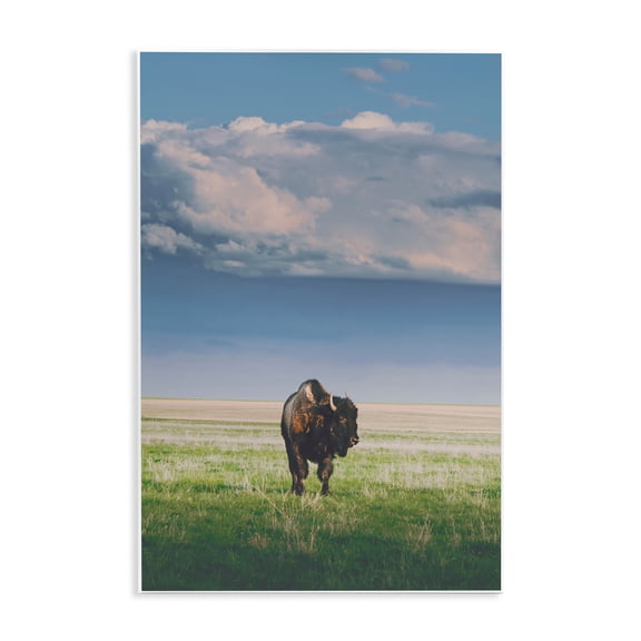 Stupell Industries Sunlight over Lone Bison Wall Plaque Art, design by Annie Bailey Art