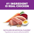 thumbnail image 4 of IAMS Advanced Health Dry Dog Food for Healthy Digestion, Adult Dog Food, Real Chicken, 13.5 lb. Bag, 4 of 8