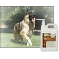 thumbnail image 2 of UltraCruz® Canine Liquid Joint Health, 1 gal with pump, 2 of 4
