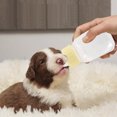thumbnail image 4 of unbranded 1 Botella Para Alimentación De Mascotas Pequeño Y Liviano Ideal Para Uso En Exteriores, 4 of 8