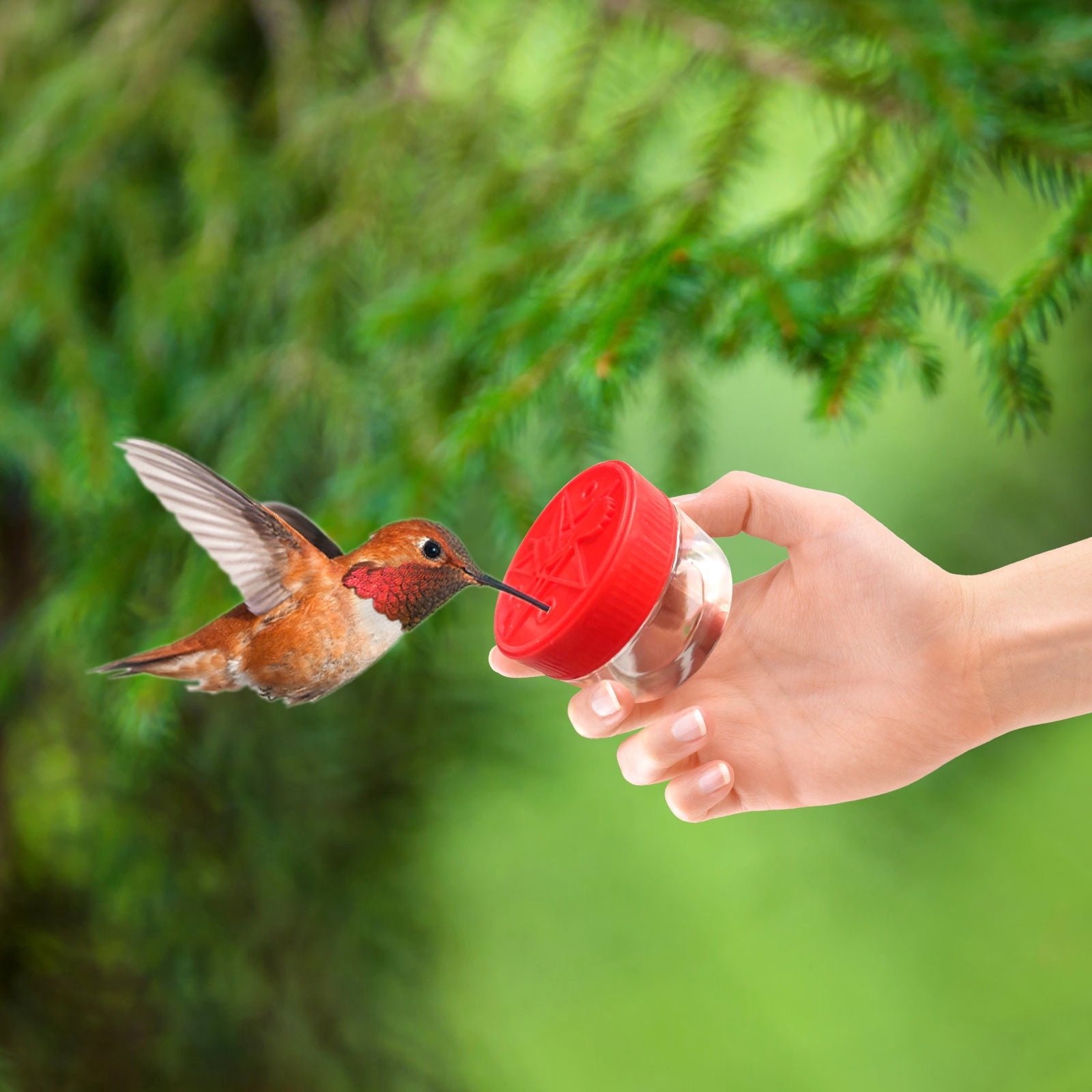 Stijggn Hummingbird Feeder Capacity Recycled Plastic Flat Mealworm Bird Feeder Tray for Cardinals, Bluebirds & Wild Birds