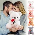 thumbnail image 2 of Bwiyojiz Stuffed Animals Bear with Rose, Soft Bear Doll Animals Toys Gifts for Girlfriend Xmas Valentine's Day, 9.84 Inches, 2 of 2