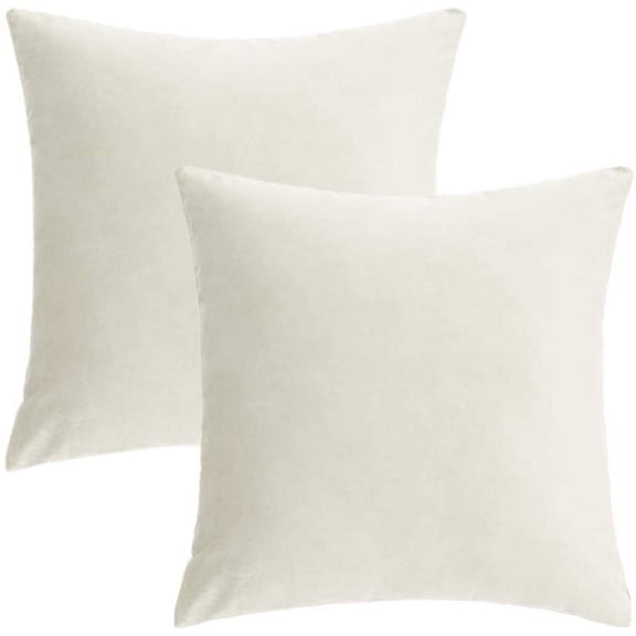 Nmkwnr Set of 2 Soft Velvet Throw Pillow Covers Solid Color Square Cushion Covers for Sofa Couch Bed Living Room, 16x16 inch