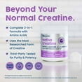 thumbnail image 3 of NativePath Creatine Powder, 5g with L-Carnitine & Leucine Formula, Gluten-Free, 30 Servings, 3 of 8