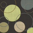thumbnail image 2 of Emery, Kristin 15x15 White Modern Wood Framed Museum Art Print Titled - Lime Ricky I, 2 of 4