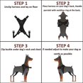 thumbnail image 4 of No-Pull Dog Harness, Adjustable Breathable Comfort, Free Leash Included, for Sma, 4 of 5