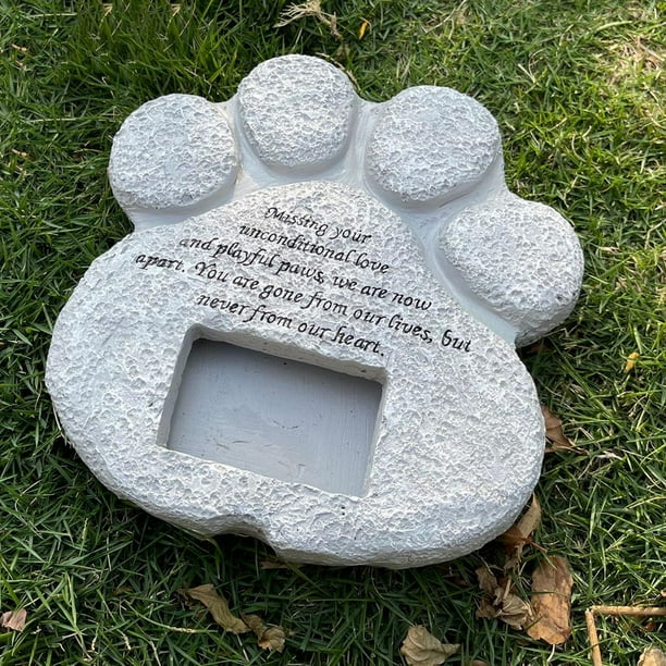 Kit de souvenirs à empreintes de pattes d'animaux de compagnie