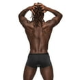 thumbnail image 3 of Men's Male Power 141-276 Magnificence Mini Short (Black M), 3 of 10