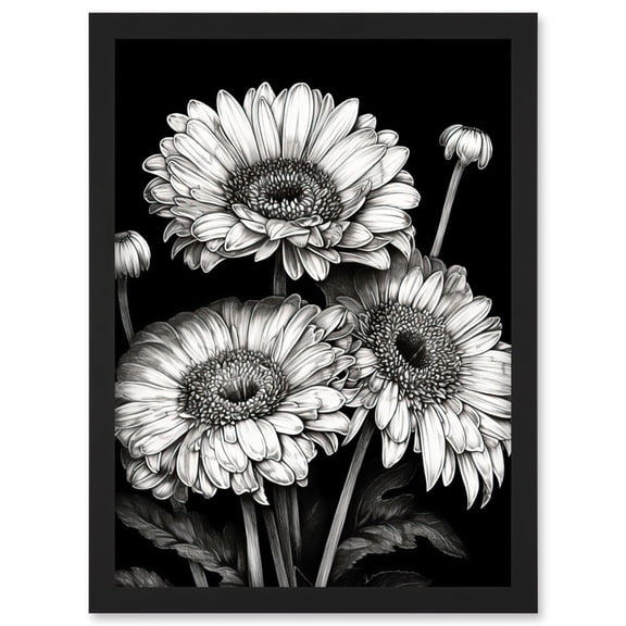 Black and White Gerbera Flowers Dark Illustration Artwork Framed Wall Art Print A4