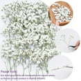 thumbnail image 3 of 50 Pcs White Baby's Breath Real Natural Dried Pressed Flowers Real Pressed Dried Flowers Mini Gypsophila Baby's Breath for Making Wedding Card DIY Art Floral Decors, 3 of 6