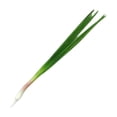 thumbnail image 4 of Tnarru Artificial Vegetable Centerpiece Simulation Vegetable for Drawing Party Shop Chives, 4 of 8