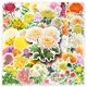 thumbnail image 3 of Pegatinas de vinilo impermeable con flores de crisantemo, 50 unidades, 3 of 5
