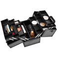 thumbnail image 3 of SalonMore Makeup Train Case Professional Adjustable 6 Trays Cosmetic Cases Storage Box, 3 of 7