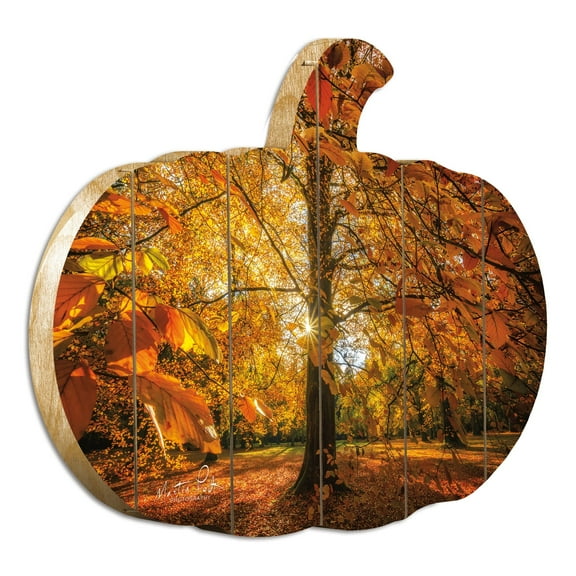 Autumn Leaves By Martin Podt Printed on Wooden Pumpkin Wall Art Orange