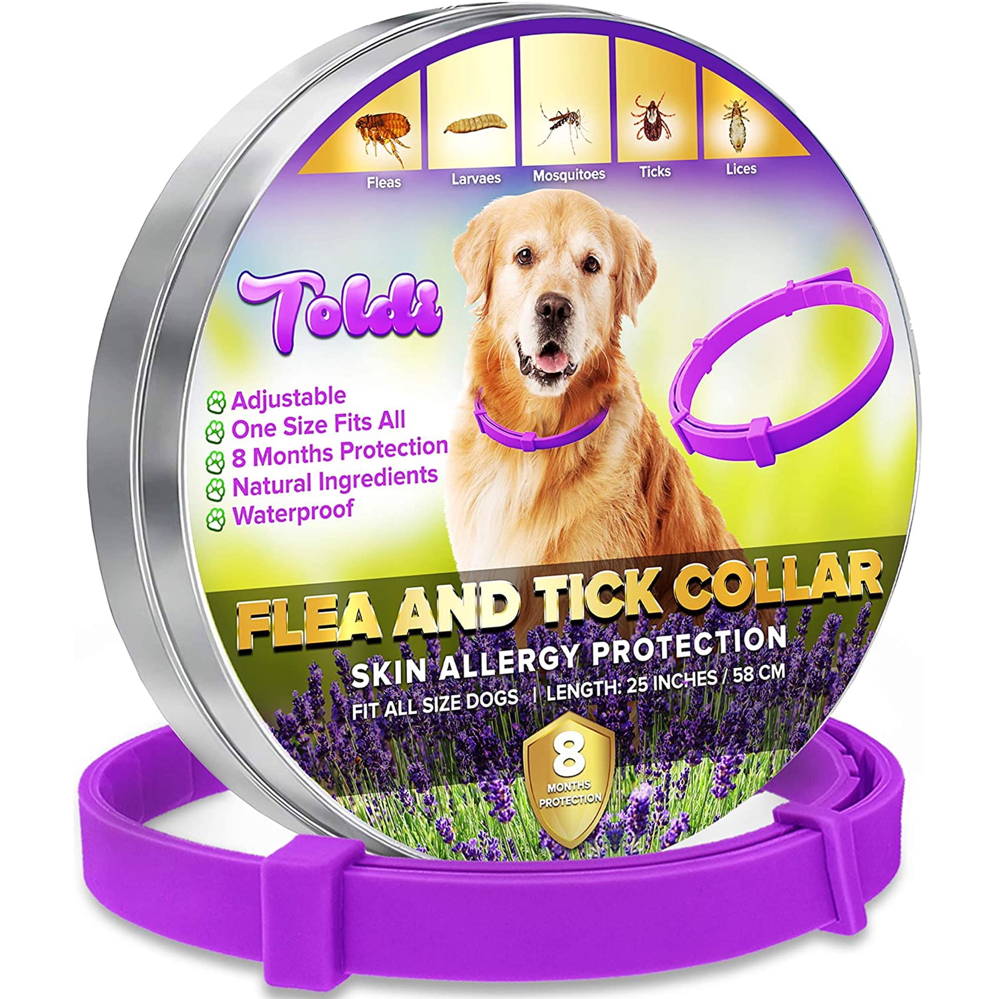 What Is The Best Flea Treatment For Dogs With Flea Allergies - Flea Control For Households With Pet Allergies