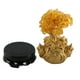 thumbnail image 1 of Árbol de dinero de cristal de cuarzo amarillo, sapos dorados dobles, estilo bonsái, decoración de árboles de fortuna amarillos para mejorar la suerte y la riqueza, 1 of 5