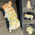 thumbnail image 3 of CBFFDC Waterproof Dog Diaper Pet Menstrual Pants Lemon Pattern Female Dog Sanitary Diaper Shorts Washable with Hook and Loop Fastening, 3 of 6