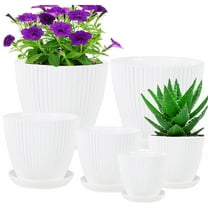 6 Pcs Plastic Plant Pots,Bexikou Flower Pots with Trays,Indoor Plant Pot with Drainage Holes,Plastic Planter for Garden House Plants, Succulent