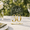 Clear Table Number 1-30, variant on Mirrored Wedding Table Numbers 1-30 Set Self-standing Modern Arched Signs For Reception Seating Anniversary & Bridal Shower Elega