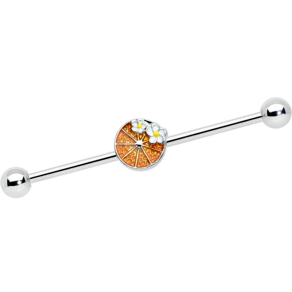 Body Candy Womens 14G Stasinless Steel Helix Orange Slice Fruit Industrial Barbell 1 1/2