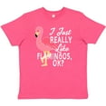 thumbnail image 3 of Inktastic I Just Really Like Flamingos Ok with Pink Flamingo Youth T-Shirt, 3 of 5