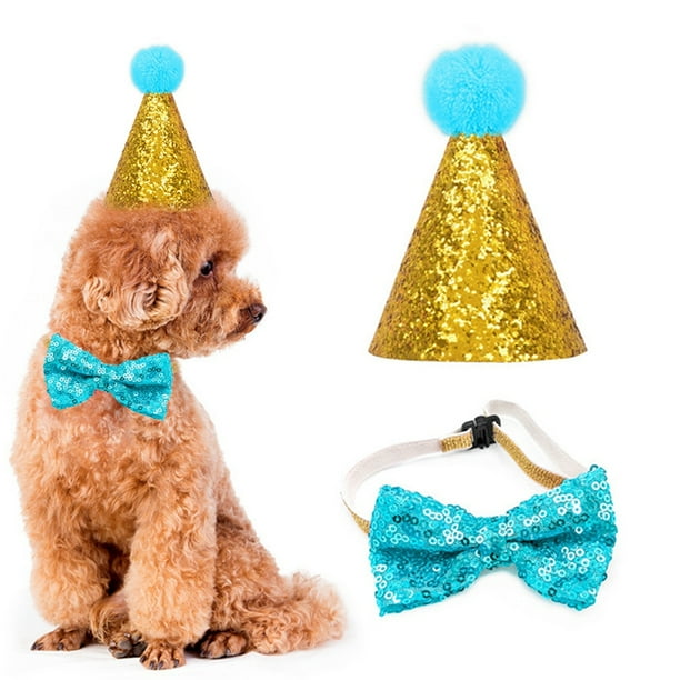 Dog top birthday hat