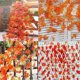 thumbnail image 3 of 12 Strands Fall Maple Leaves Autumn Ivy Garland Artificial Maple Vines Garland for Thanksgiving,Chri, 3 of 5