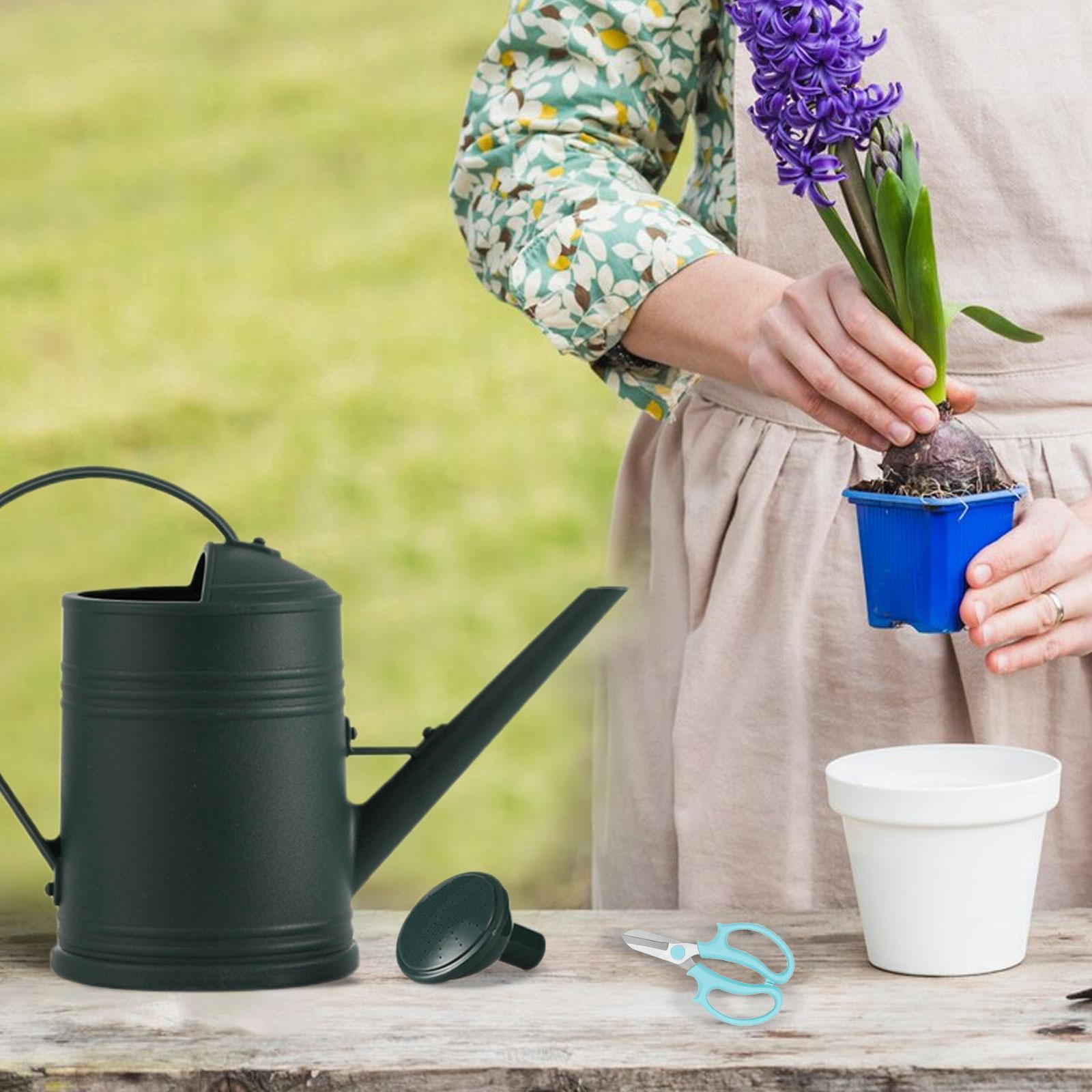 koolsoo 2L Garden Watering Can Watering Pot Removable Nozzle Watering Bottle Sturdy Gardening Tool for Watering Plants Garden Flowers dark green