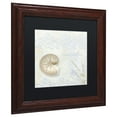 thumbnail image 3 of Trademark Fine Art "She Sells Seashells I" Canvas Art by Color Bakery, Black Matte, Wood Frame, 3 of 4