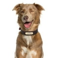 thumbnail image 6 of Pet Artist Soft Genuine Leather Personalized Dog Collar Customized Name Engraved Adjustable, 6 of 9