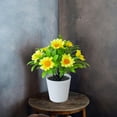 thumbnail image 5 of Ltdhehe Bonsai Desk Arrangement Home Centerpiece Wedding, 5 of 5