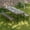 Brown, variant on BETISEF Picnic Table Set with 2 Benches,6 Feet Folding Camping Table Chair Set with Wood Grain Tabletop ,3-Piece Outdoor Indoor Portable Folding Furniture for Party, Camping, Picnic, Weddings