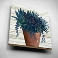 thumbnail image 5 of Epic Art 'Remarkable Succulents II' by Cindy Jacobs, Acrylic Glass Wall Art, 12"x12", 5 of 8
