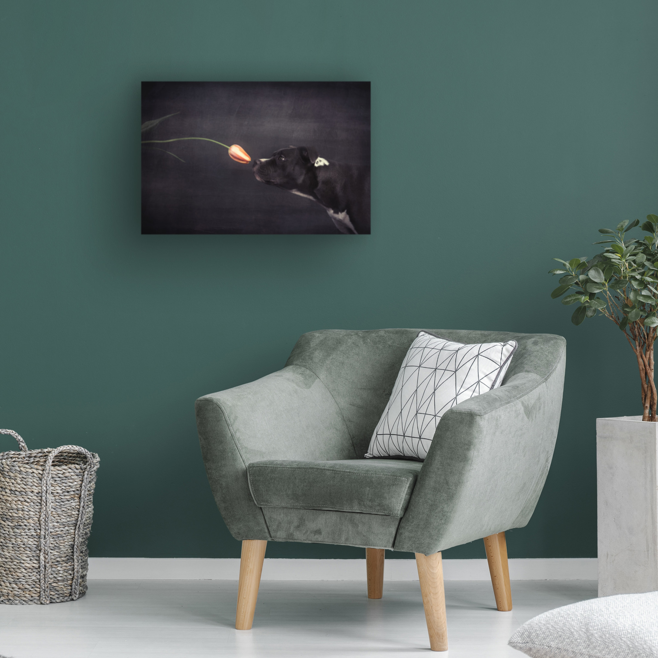Canvas Wall Art - Heike Willers 'First Approach - Hildegard And The Tulip' Wall Art for Living Room, Bedroom, or Office Décor by Trademark Fine Art - 19 x 12 Inches