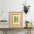 thumbnail image 5 of Fern with Crackle Mat (H) IV - Framed Print w/glass - Sunset Pink, 5 of 6