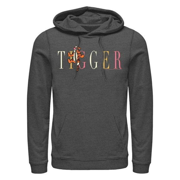 Men's Winnie the Pooh Tigger Colorful Script Pull Over Hoodie